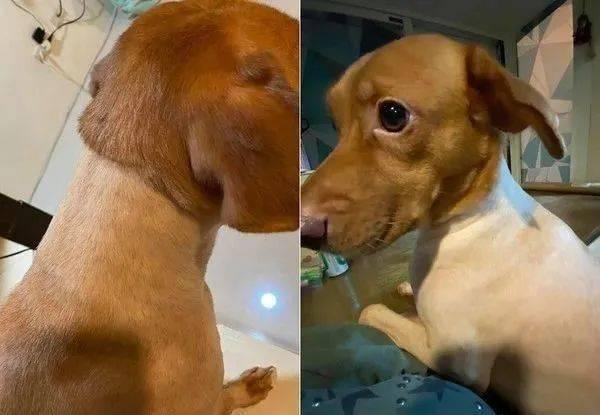 老二狗的外婆爆料视频下载 第3张 老二狗的外婆爆料视频下载 第3张